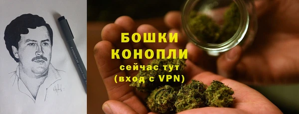 PSILOCYBIN Баксан
