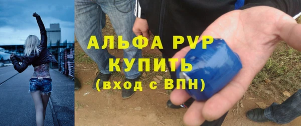PSILOCYBIN Баксан