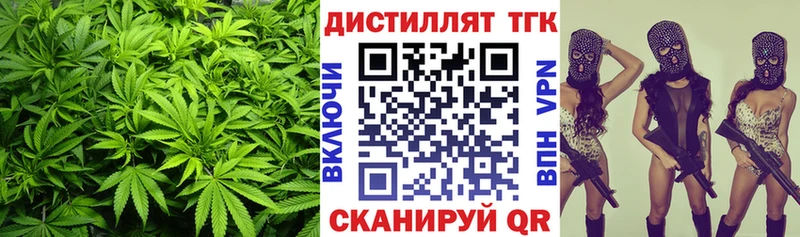 ТГК Wax  где можно купить   Лесной 